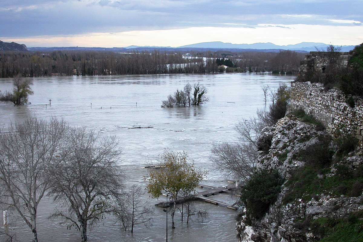 Inondation de l'île de la Barthelasse en 2003