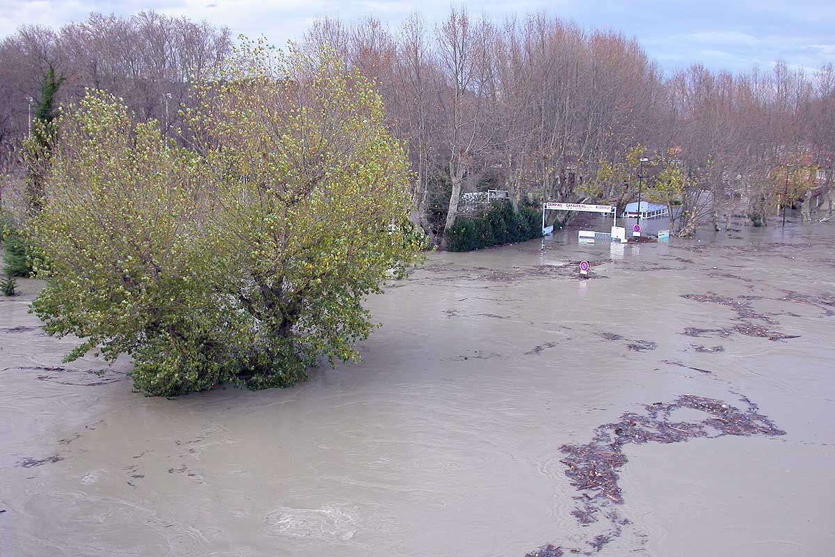 the island of Barthelasse flooded © VF