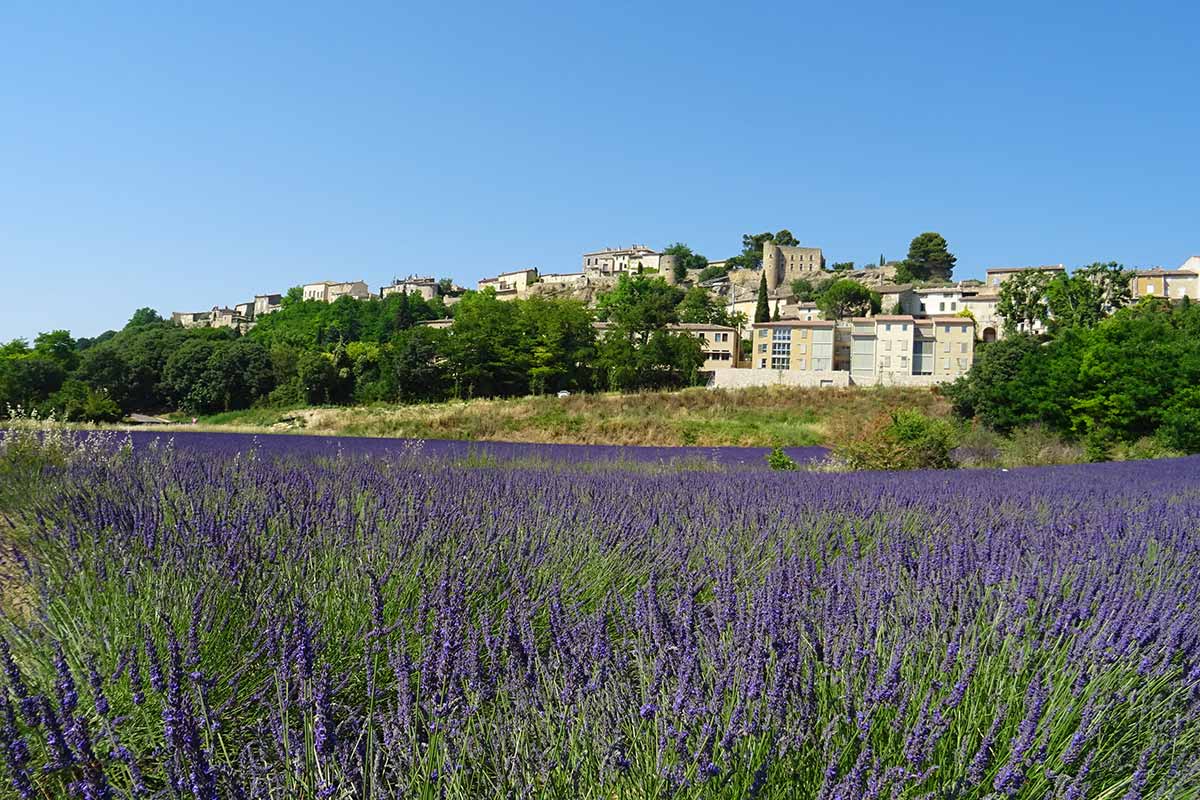 Ménerbes Luberon © Horizon Provence
