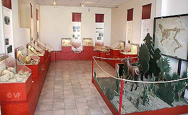 Musée Vachères archéologie  © VF
