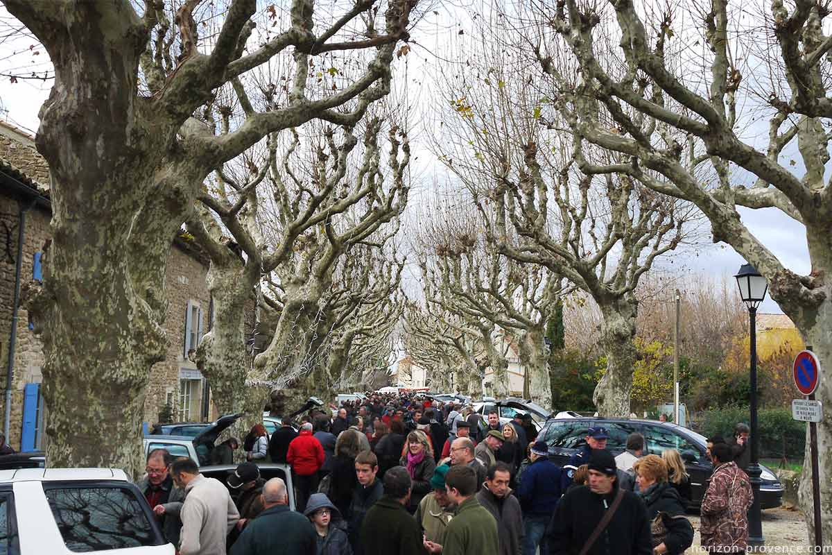 Richerenches Marché aux Truffes © VF