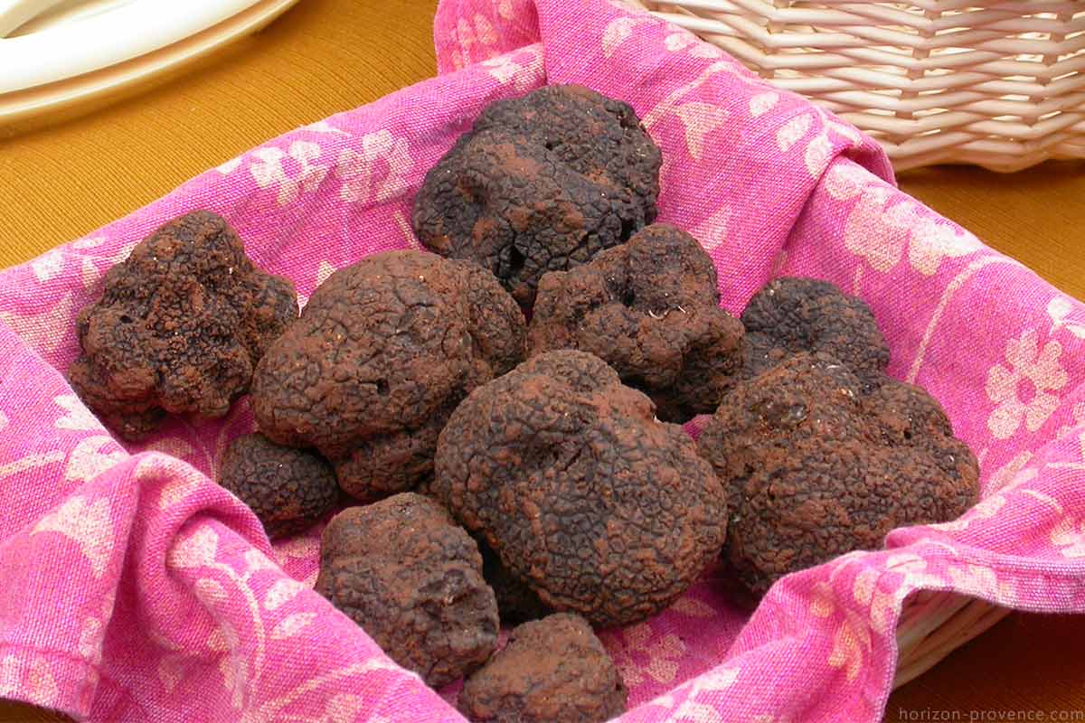 Truffes Richerenches