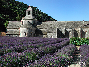Abbaye de Sénanque © VF